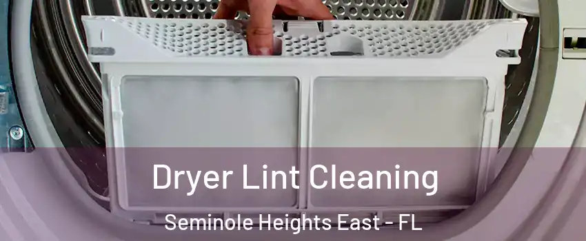 Dryer Lint Cleaning Seminole Heights East - FL