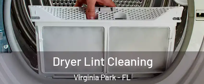 Dryer Lint Cleaning Virginia Park - FL