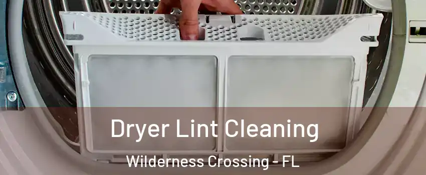 Dryer Lint Cleaning Wilderness Crossing - FL