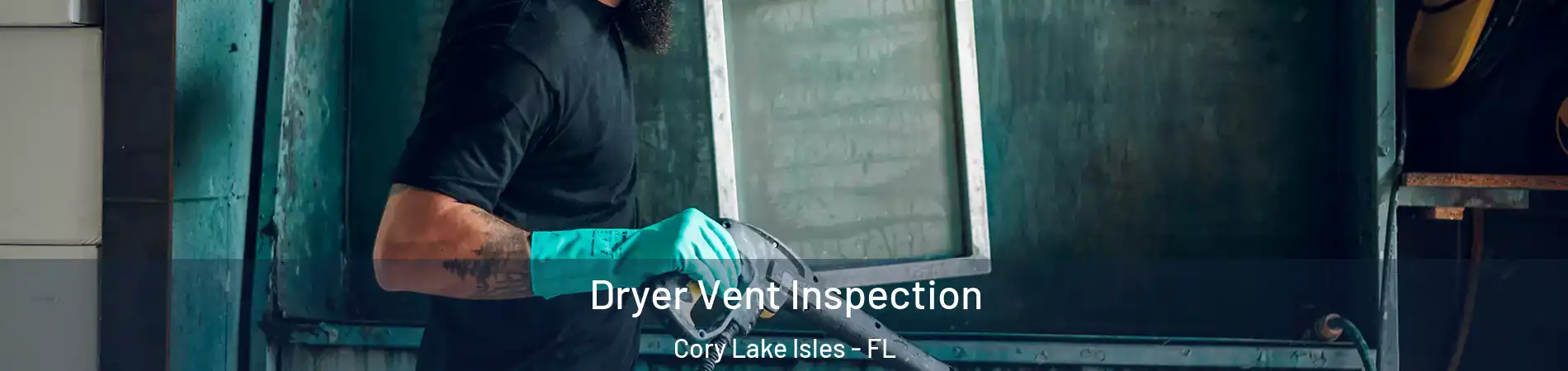 Dryer Vent Inspection Cory Lake Isles - FL