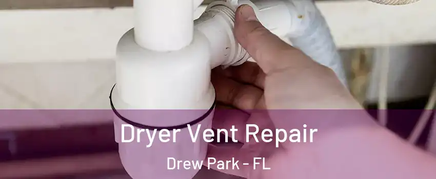 Dryer Vent Repair Drew Park - FL