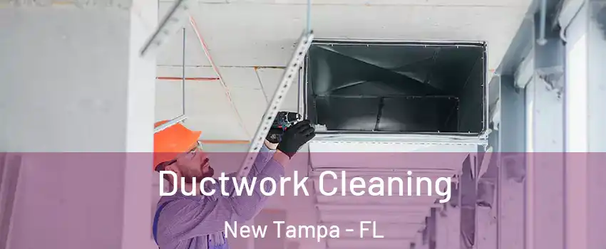 Ductwork Cleaning New Tampa - FL