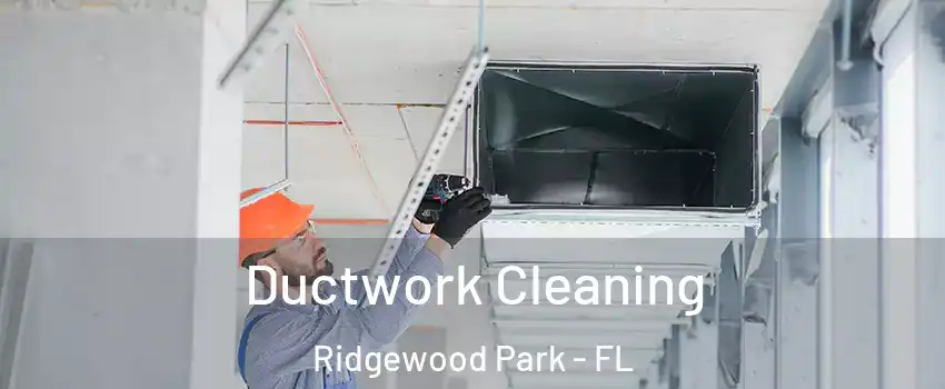 Ductwork Cleaning Ridgewood Park - FL