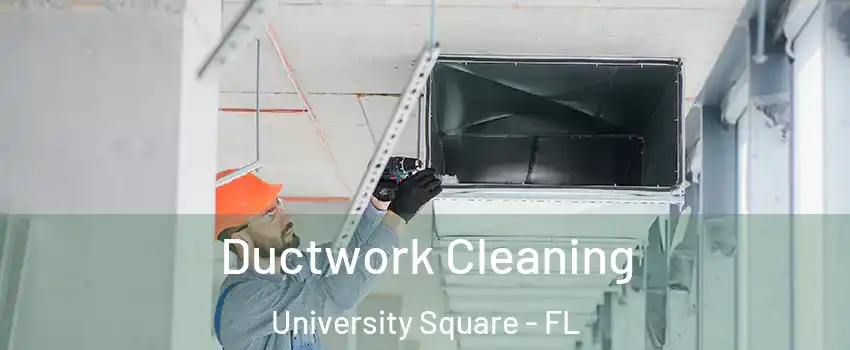 Ductwork Cleaning University Square - FL