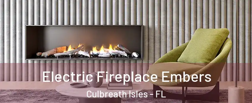 Electric Fireplace Embers Culbreath Isles - FL