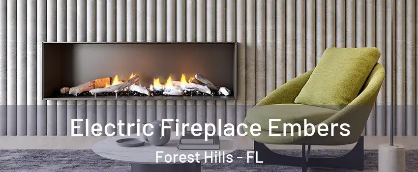 Electric Fireplace Embers Forest Hills - FL