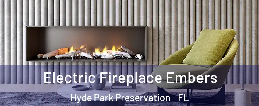 Electric Fireplace Embers Hyde Park Preservation - FL