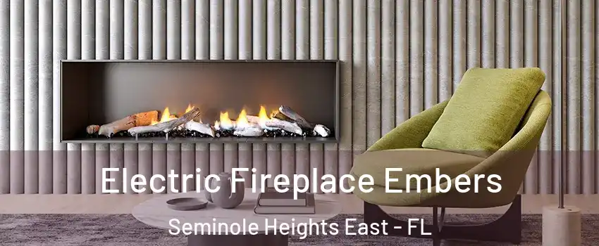 Electric Fireplace Embers Seminole Heights East - FL