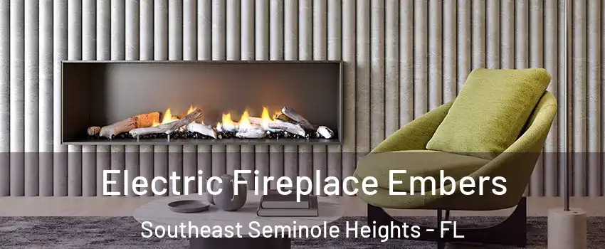 Electric Fireplace Embers Southeast Seminole Heights - FL