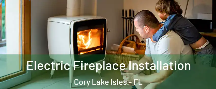 Electric Fireplace Installation Cory Lake Isles - FL