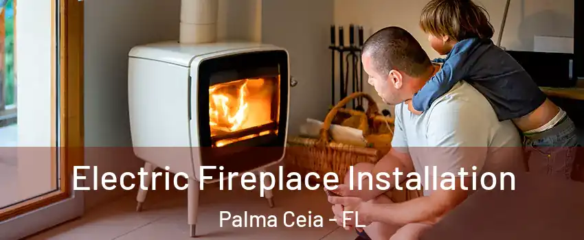 Electric Fireplace Installation Palma Ceia - FL