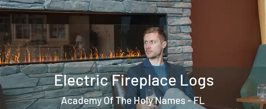 Electric Fireplace Logs Academy Of The Holy Names - FL