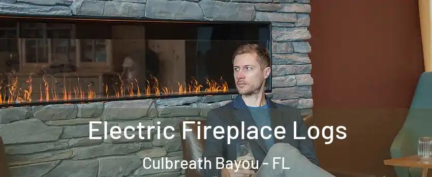 Electric Fireplace Logs Culbreath Bayou - FL