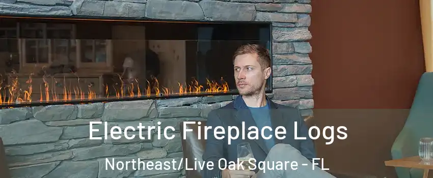 Electric Fireplace Logs Northeast/Live Oak Square - FL