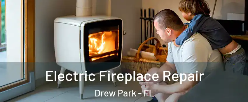 Electric Fireplace Repair Drew Park - FL