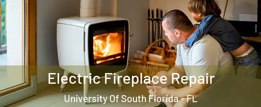 Electric Fireplace Repair University Of South Florida - FL