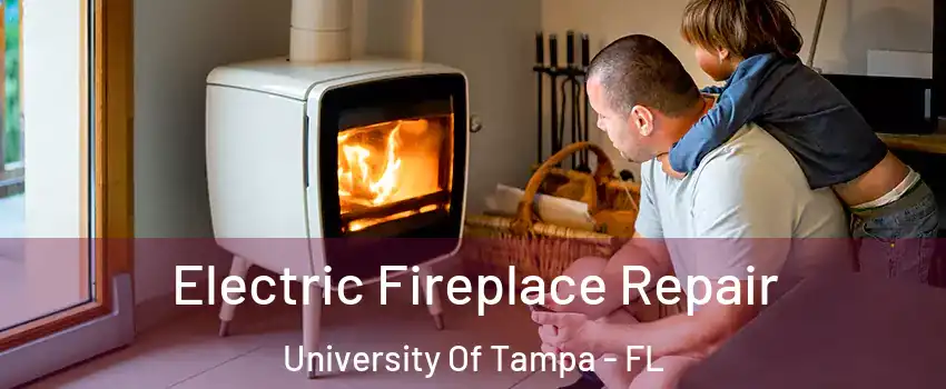 Electric Fireplace Repair University Of Tampa - FL