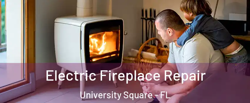 Electric Fireplace Repair University Square - FL