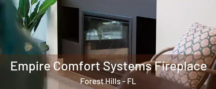 Empire Comfort Systems Fireplace Forest Hills - FL