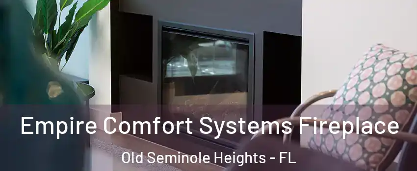 Empire Comfort Systems Fireplace Old Seminole Heights - FL