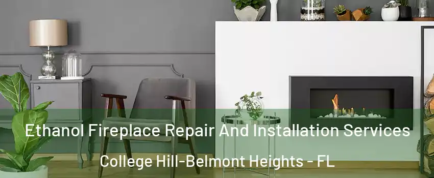 Ethanol Fireplace Repair And Installation Services College Hill-Belmont Heights - FL