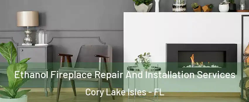 Ethanol Fireplace Repair And Installation Services Cory Lake Isles - FL