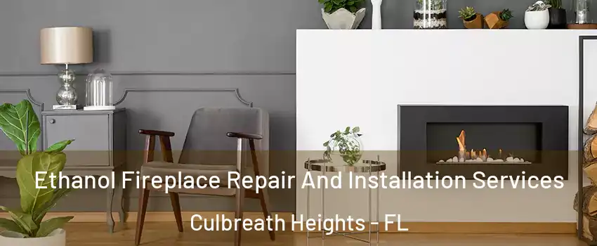 Ethanol Fireplace Repair And Installation Services Culbreath Heights - FL