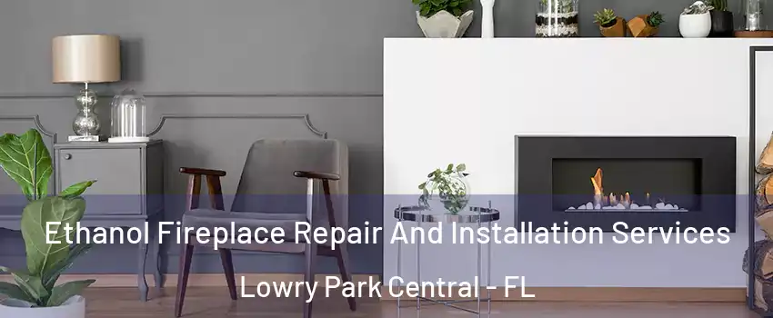 Ethanol Fireplace Repair And Installation Services Lowry Park Central - FL