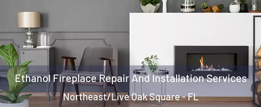 Ethanol Fireplace Repair And Installation Services Northeast/Live Oak Square - FL