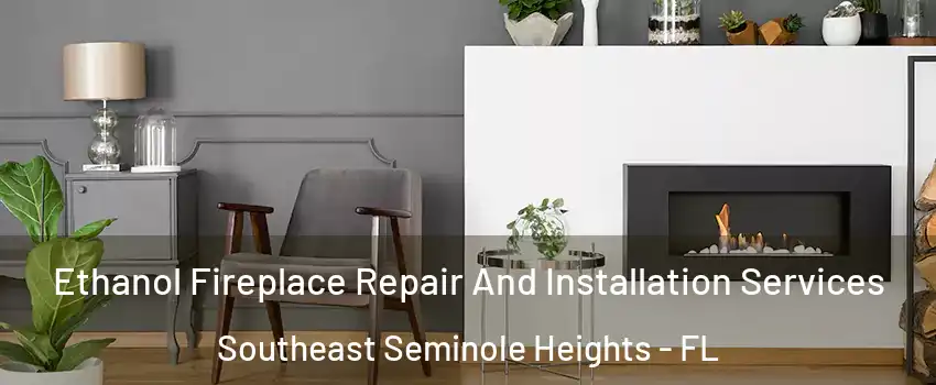 Ethanol Fireplace Repair And Installation Services Southeast Seminole Heights - FL