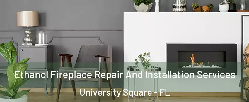 Ethanol Fireplace Repair And Installation Services University Square - FL