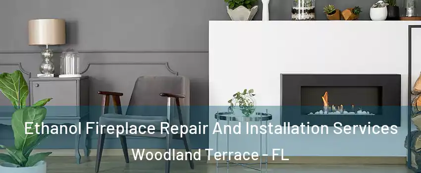 Ethanol Fireplace Repair And Installation Services Woodland Terrace - FL