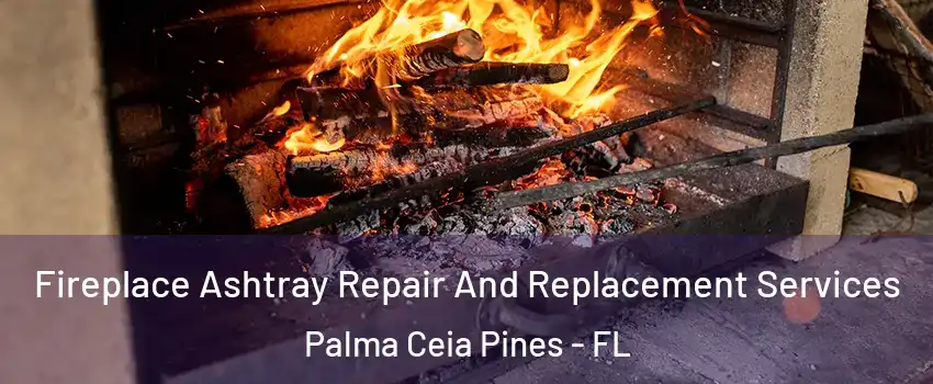 Fireplace Ashtray Repair And Replacement Services Palma Ceia Pines - FL