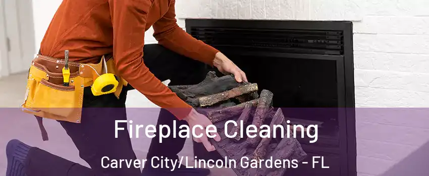 Fireplace Cleaning Carver City/Lincoln Gardens - FL