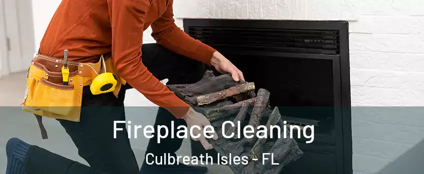 Fireplace Cleaning Culbreath Isles - FL