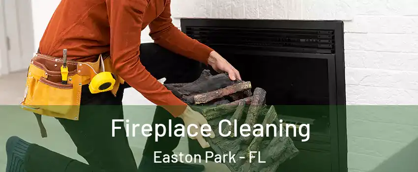 Fireplace Cleaning Easton Park - FL