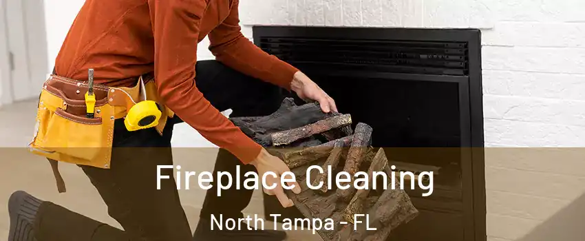 Fireplace Cleaning North Tampa - FL