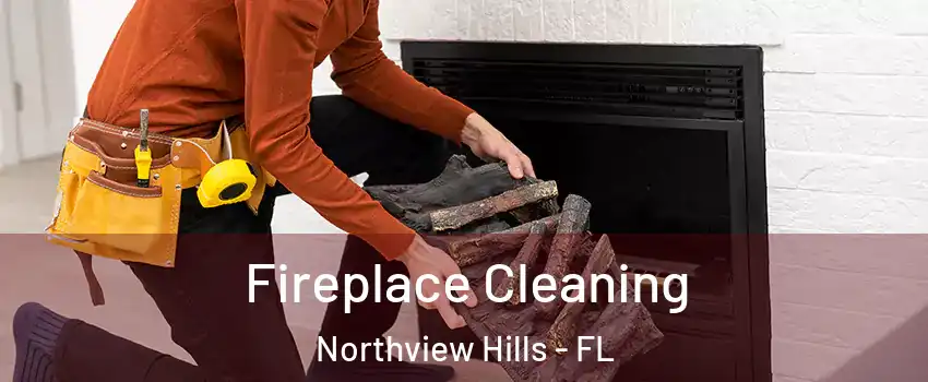 Fireplace Cleaning Northview Hills - FL