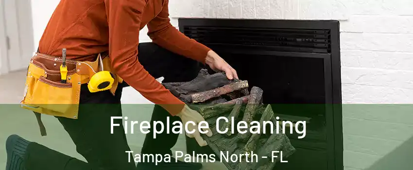 Fireplace Cleaning Tampa Palms North - FL