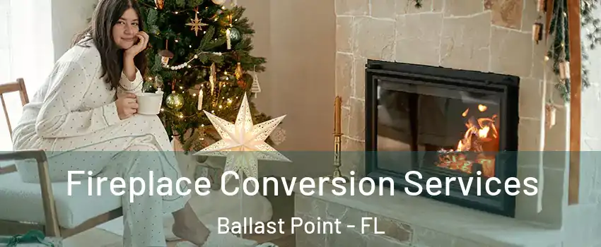 Fireplace Conversion Services Ballast Point - FL