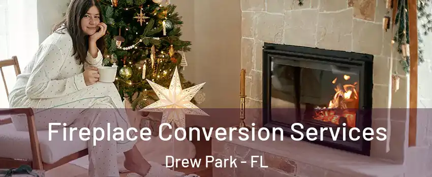 Fireplace Conversion Services Drew Park - FL