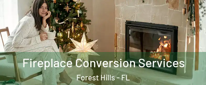 Fireplace Conversion Services Forest Hills - FL