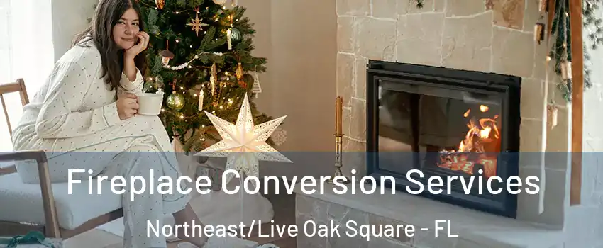 Fireplace Conversion Services Northeast/Live Oak Square - FL