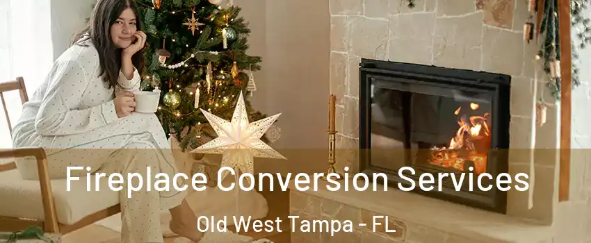 Fireplace Conversion Services Old West Tampa - FL