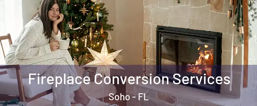 Fireplace Conversion Services Soho - FL