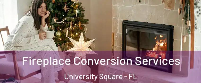 Fireplace Conversion Services University Square - FL