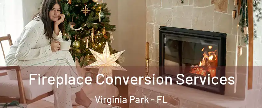 Fireplace Conversion Services Virginia Park - FL