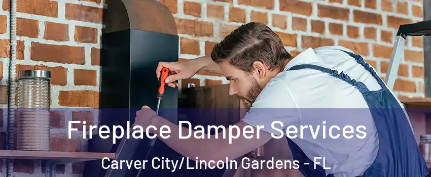 Fireplace Damper Services Carver City/Lincoln Gardens - FL