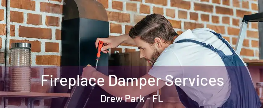 Fireplace Damper Services Drew Park - FL