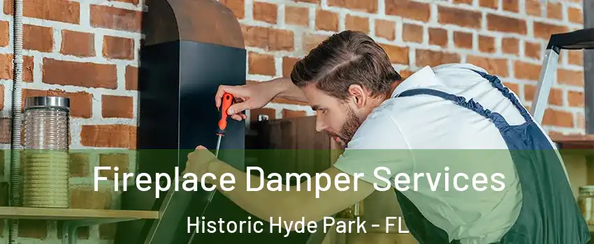 Fireplace Damper Services Historic Hyde Park - FL